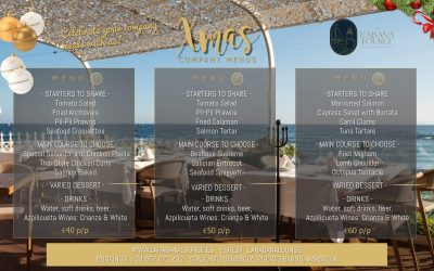 Company Menus – Christmas 2024
