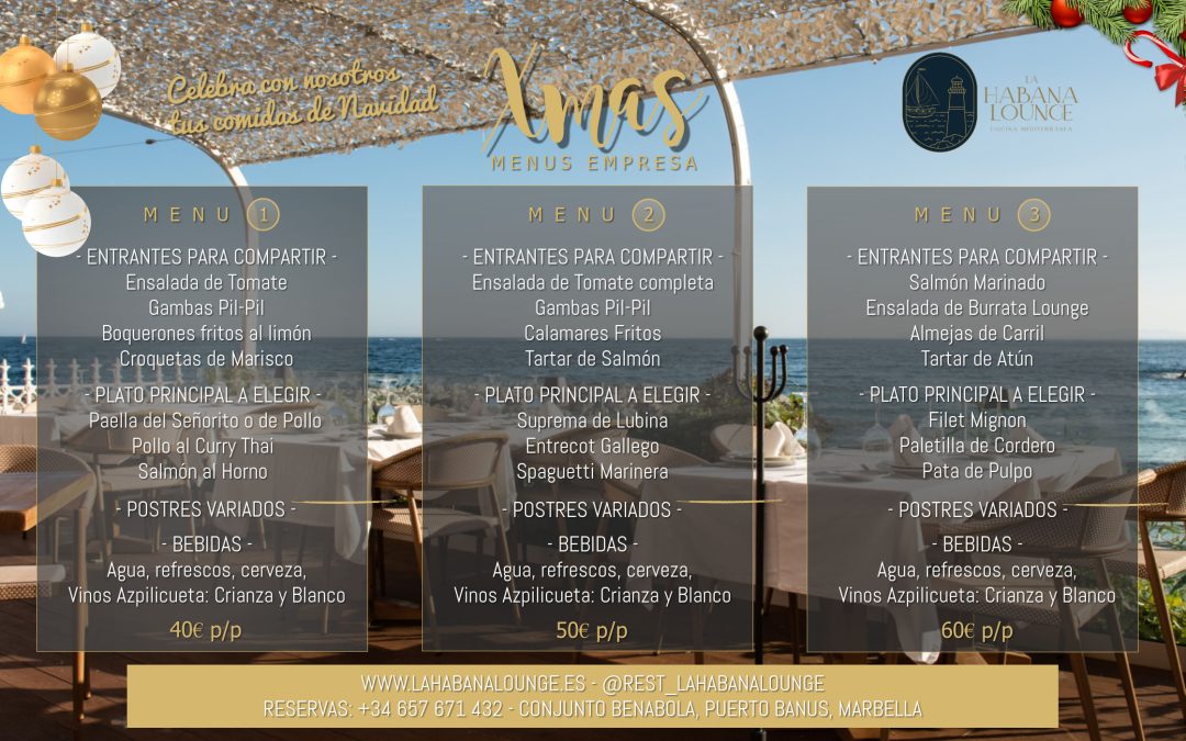 Menús Empresa – Navidad 2024