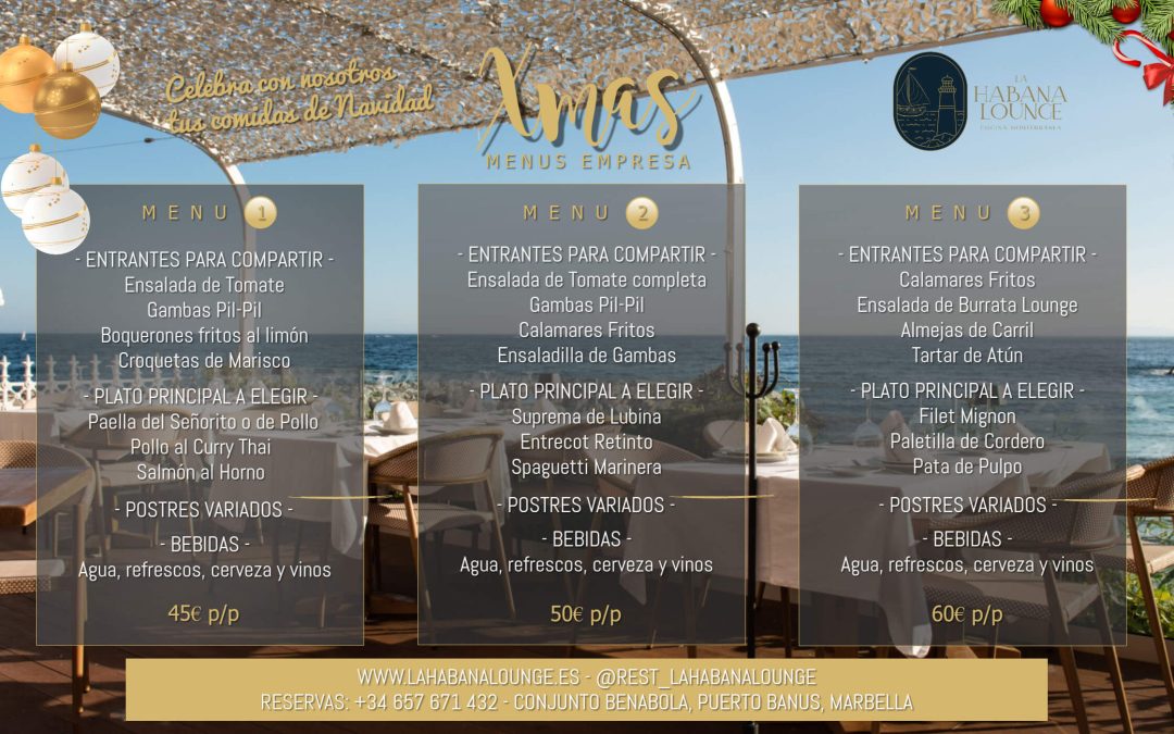 Menús Empresa – Navidad 2025